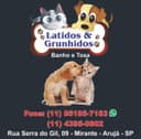 Logo de Lucas dos Santos forte Gabriel 