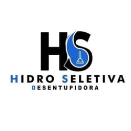Logo de Desentupidora Hidro seletiva
