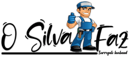 Logo de O silva faz