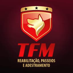 Logo de Thiago Fonseca