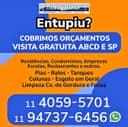 Logo de Paulo Pereira de Souza
