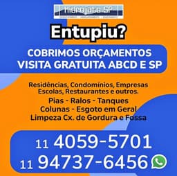 Logo de Paulo Pereira de Souza