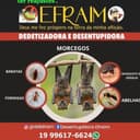 Logo de Desentupidora E Dedetizadora Efraim