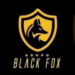 Logo de Black Fox Administradora Ltda