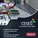 Logo de CESEG