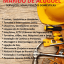 Logo de David Triboni Marido de Aluguel