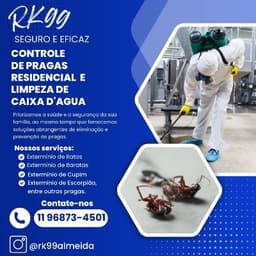 Logo de Rk99Dedetização